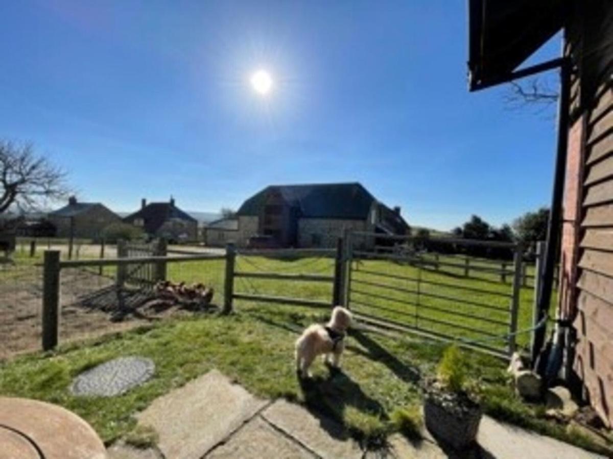 Poachers Hut - Captivating 1-Bed Cottage Shorwell Exterior foto